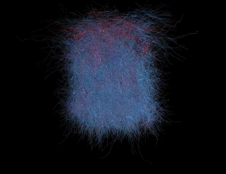 Simulation of network activity in the microcircuit